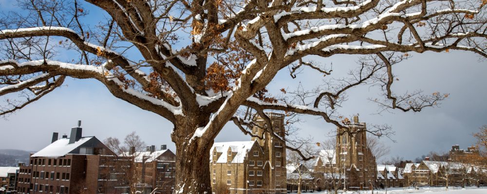 Campus in snow