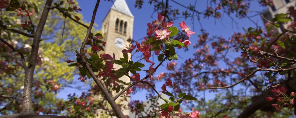 McGraw Tower