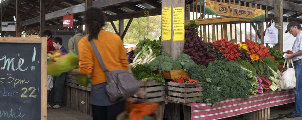 People at the Ithaca Farmer's Market