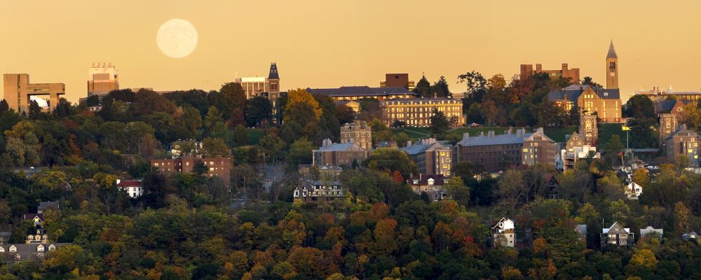 Campus at sunset