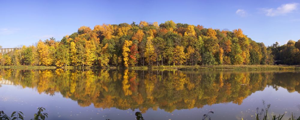 Beebe Lake