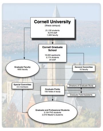 Depiction of the governance and structure of the Cornell Graduate School detailed on this webpage.