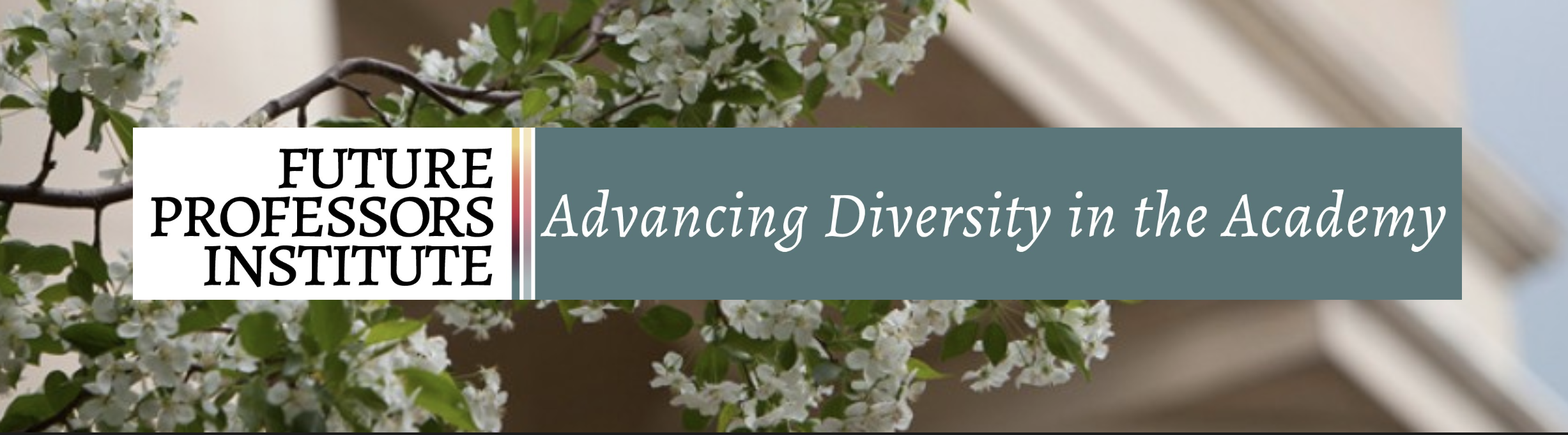 Future Professors Institute: Advancing Diversity in the Academy logo