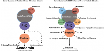 Figure 3: A redesigned career ladder model in comparison to a traditional model