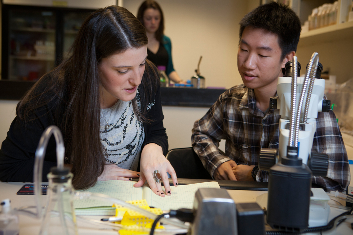 articipants in the Undergraduate Research Board (CURB) Peer Mentoring Program