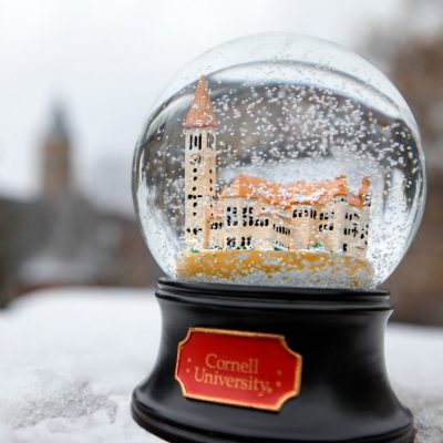 Cornell snow globe