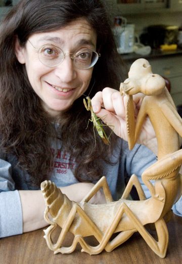 May Berenbaum