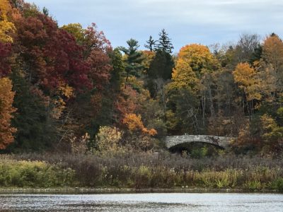 Fall foliage around lake and bridge