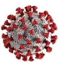 Novel Coronavirus (COVID-19)