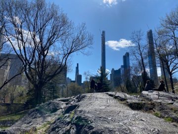 Central Park in New York City