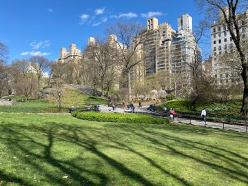 Central Park in New York City