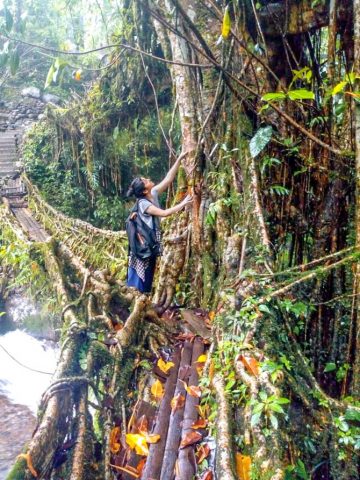 Aparajita Majumdar at the foot of a tree