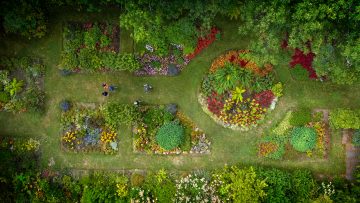 Aerial view of students in campus natural area