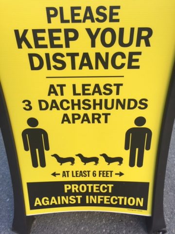 Poster with three dachshunds between two people reading, "Please keep your distance: at least three dachshunds apart. Protect against infection"