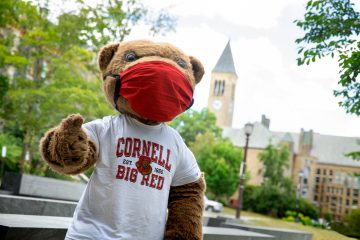 Touchdown the Bear wears a face mask and gives the camera a thumbs up with McGraw Tower in the background