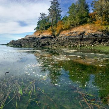 Water and coast