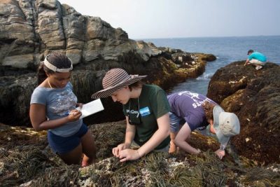 Students take notes on a rock