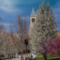 McGraw Tower