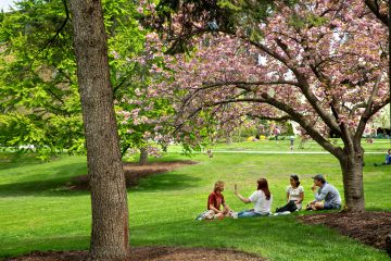 A small group of students sit outside in spring