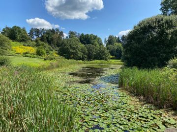 Cornell's F.R. Newman Arboretum