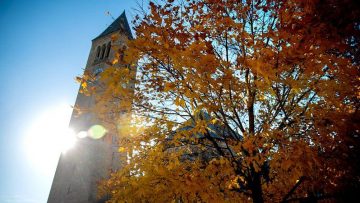 Fall leaves in front of McGraw Tower