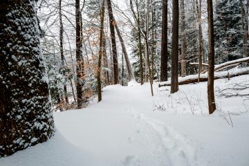 Beebe Lake natural area after snowfall