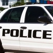 A close-up view of the side of a police car