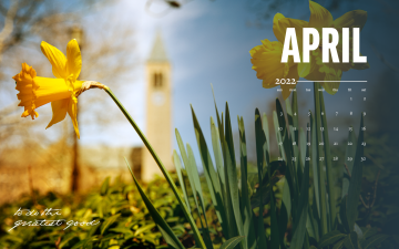 April calendar over image of daffodils in front of McGraw Tower