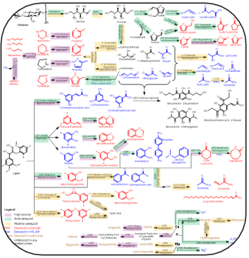 Reaction pathway