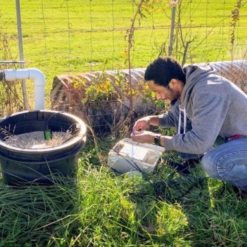 Gloire Rubambiza installs moisture sensors at the Cornell Orchards.