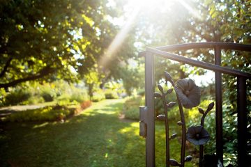 A garden on Cornell's Ithaca campus