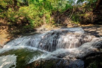 Cascadilla and Fall Creek gorges in summer.