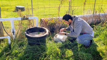 Gloire Rubambiza installs moisture sensors at the Cornell Orchards