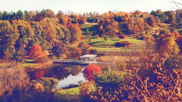 The F.R. Newman Arboretum in fall