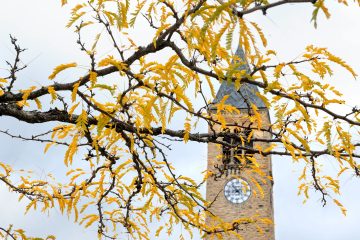 McGraw Tower viewed through yellow fall leaves