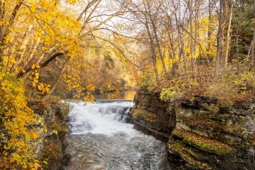 The Botanic Gardens in fall