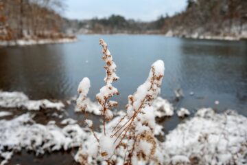 Beebe Lake natural area after snow
