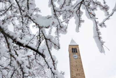 Snow-covered branches frame McGraw Tower
