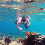 Brayan Villanova Cuevas takes a sample underwater