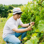 Hongrui Wang with grapevines
