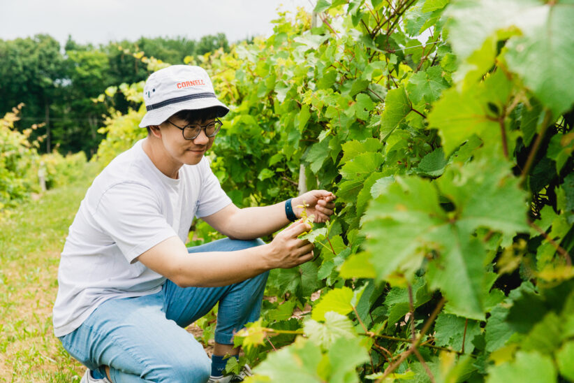 Hongrui Wang with grapevines