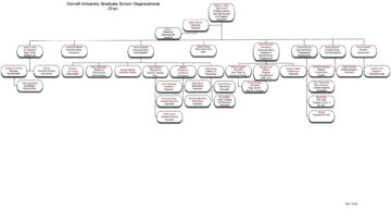 Graphical depiction of org chart structure also depicted as text on the page