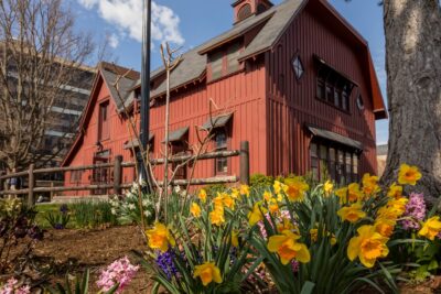 Flowers bloom in front of the Big Red Barn