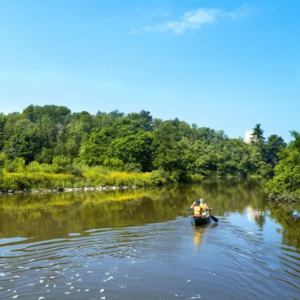 Students canoe on Beebe Lake