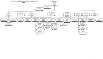 Graduate School org chart. Structure available as page text.