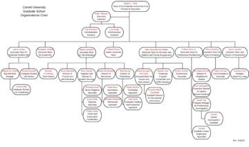 Graduate School org chart. Structure available as page text.