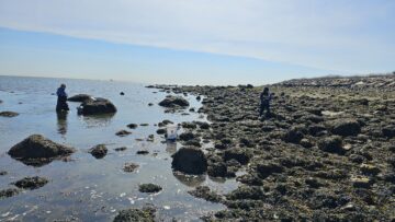 Associate professor Matt Hare and Yuqing Chen at a coastal site.