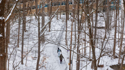 people walking through a wooded area during snowfall