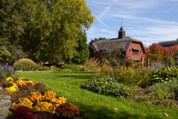 The Big Red Barn in fall