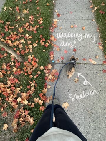 Jordan Deskins' feet next to her dog outside on a sidewalk on a fall morning